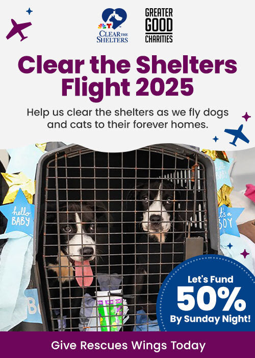 Clear the Shelters Flight 2025 promotional poster featuring two black and white dogs in a travel crate, symbolizing pet air transport to forever homes. Campaign encourages donations to help fly rescue dogs and cats to adopters, with text reading 'Let’s Fund 50% by Sunday Night' and 'Give Rescues Wings Today.' Logos for Clear the Shelters and Greater Good Charities are displayed at the top with airplane graphics.