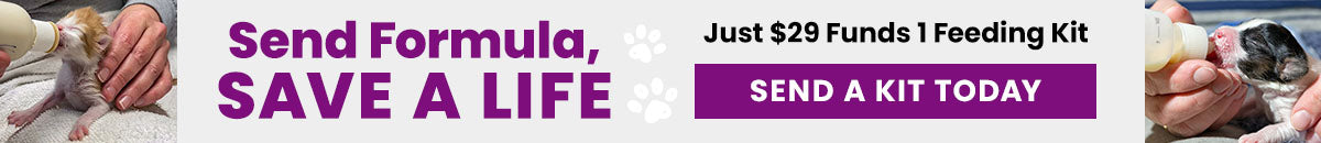 Support the Send Formula, Save a Life campaign by The Animal Rescue Site and GreaterGood. Just $29 funds 1 feeding kit to help nourish vulnerable newborn animals. Send a kit today.