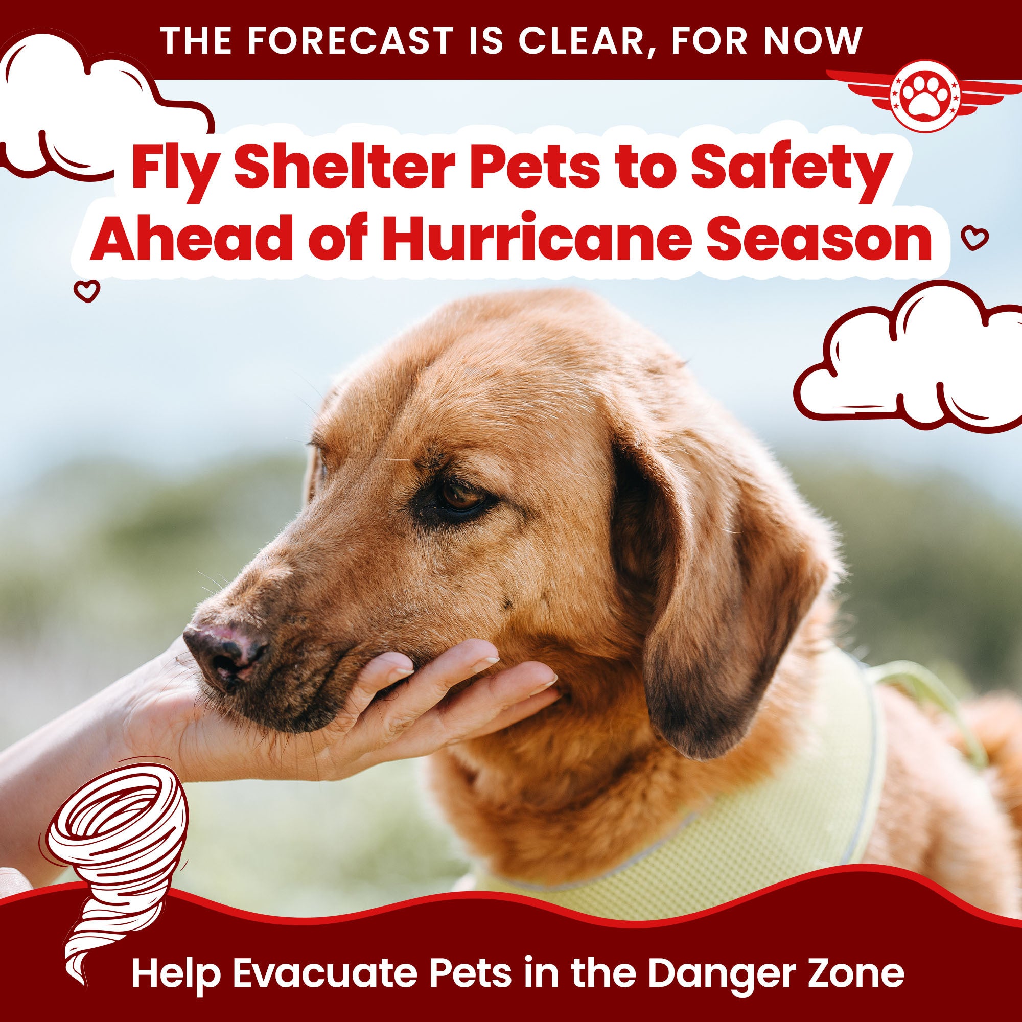 Private Jet Cost To Ship Pets By Air Book Private Charter Flights