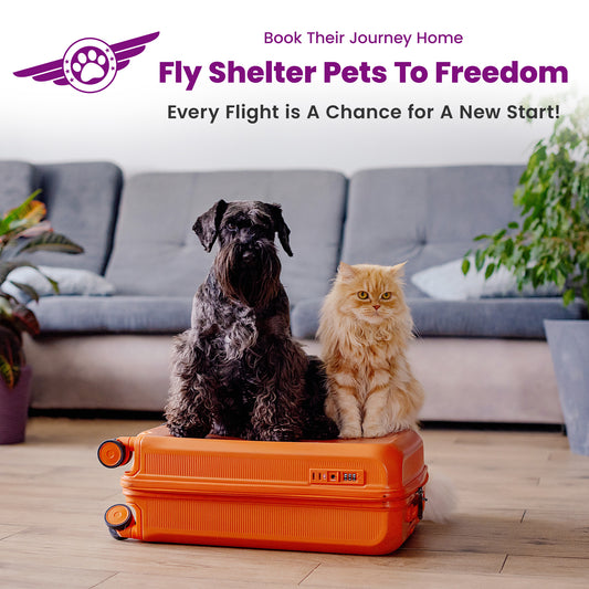 Help Fly Pets to Freedom