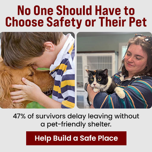 Support the No One Should Have to Choose Safety or Their Pet campaign by The Animal Rescue Site and GreaterGood. Help build a safe place because 47% of survivors delay leaving without a pet-friendly shelter.