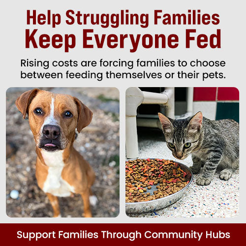 Support the Help Struggling Families Keep Everyone Fed campaign by The Animal Rescue Site and GreaterGood. Support families through community hubs to help as rising costs force families to choose between feeding themselves or their pets.