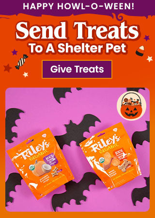 Support the Send Treats to A Shelter Pet campaign by The Animal Rescue Site and GreaterGood. Give treats this Happy Howl-O-Ween because shelter pets shouldn't be forgotten this Halloween