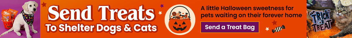 Support the Send Treats to A Shelter Pet campaign by The Animal Rescue Site and GreaterGood. Give treats this Happy Howl-O-Ween because shelter pets shouldn't be forgotten this Halloween