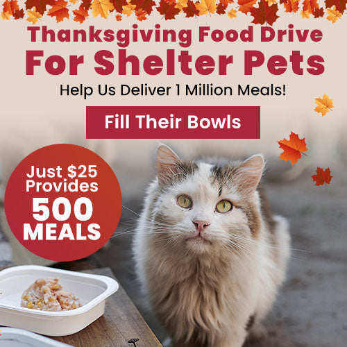 Thanksgiving Food Drive for Shelter Pets by The Animal Rescue Site and GreaterGood; donation helps provide meals. Image shows a fluffy white cat and a bowl of wet food.