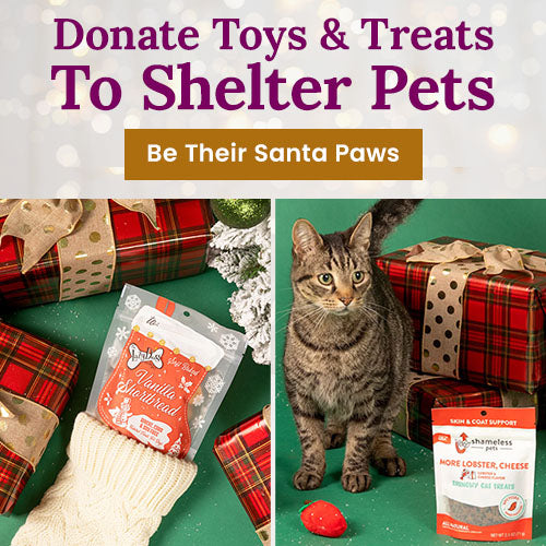 Donate Toys & Treats to Shelter Pets from The Animal Rescue Site and GreaterGood, supporting holiday gifts and essentials for cats and dogs in need through this seasonal donation.