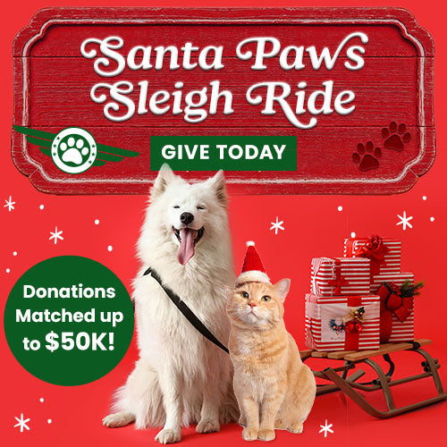 Santa Paws Sleigh Ride donation from The Animal Rescue Site and GreaterGood, featuring dog and cat with holiday sleigh. Support lifesaving help; donations matched up to $50K.