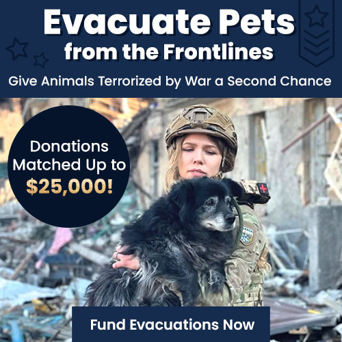 Evacuate Pets from the Frontlines donation by The Animal Rescue Site and GreaterGood, supporting emergency pet evacuations, transport, and care for animals impacted by conflict.