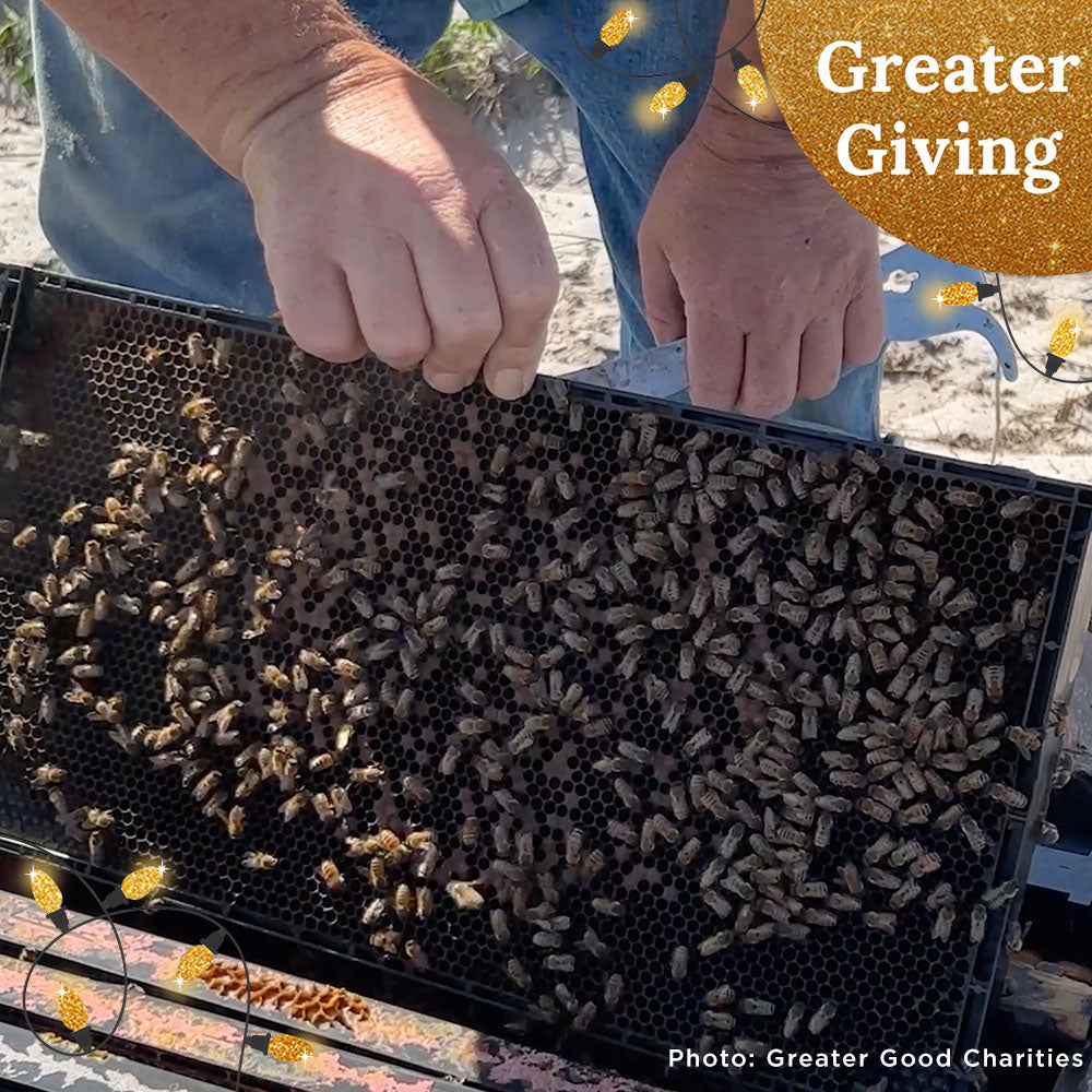 Hive Drive to Feed Starving Bees in the Southeast this Holiday Season