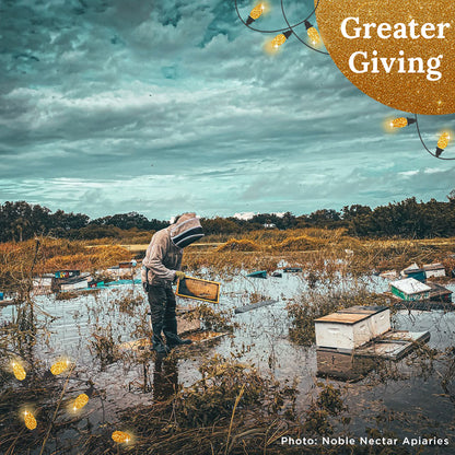 Hive Drive to Feed Starving Bees in the Southeast this Holiday Season