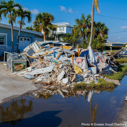 URGENT: Help Birds Affected by Hurricane Helene