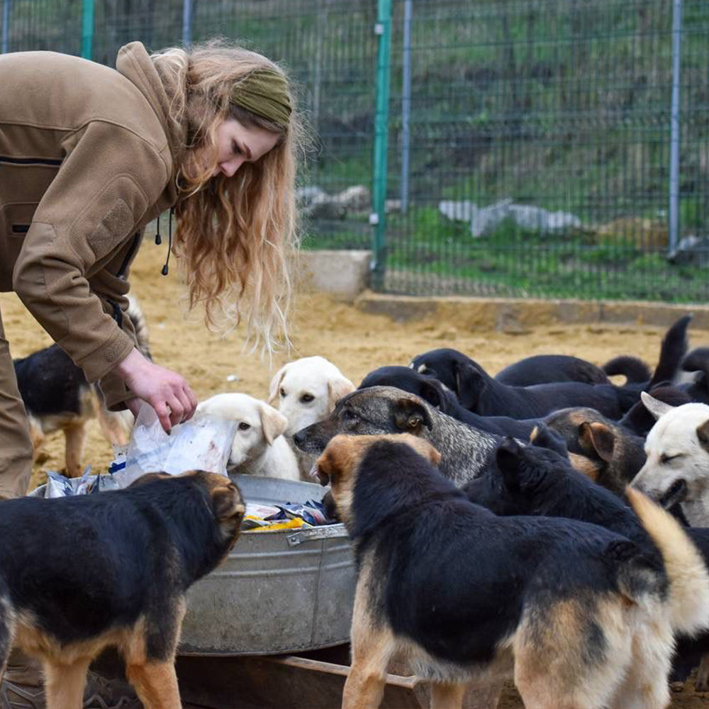 Send Medication to Protect Hundreds of Dogs from Deadly Illnesses