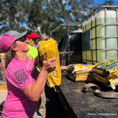 URGENT: Help Feed Bees Struggling to Survive After Hurricane Helene & Milton