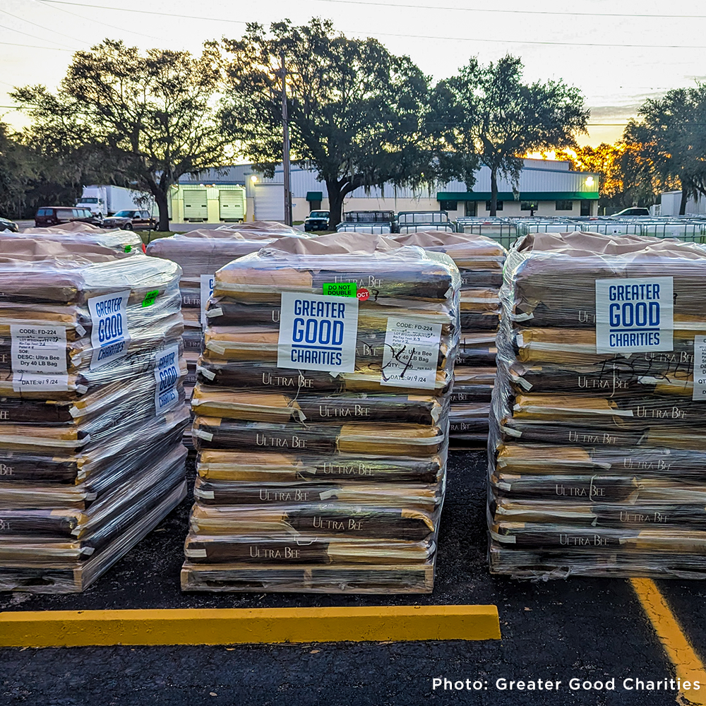 URGENT: Help Feed Bees Struggling to Survive After Hurricane Helene & Milton