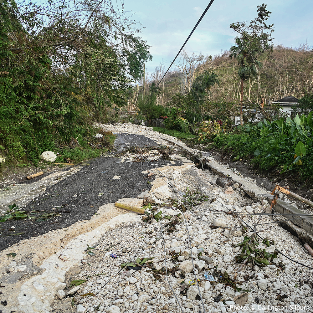 Rush Aid to People & Pets Devastated By Hurricane Melissa