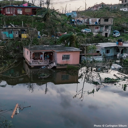 Rush Aid to People & Pets Devastated By Hurricane Melissa