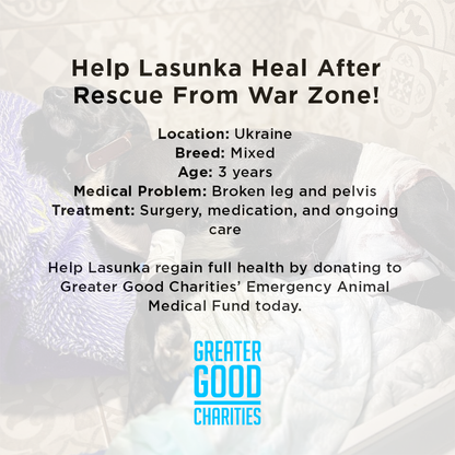 Help Lasunka Heal After Rescue From War Zone