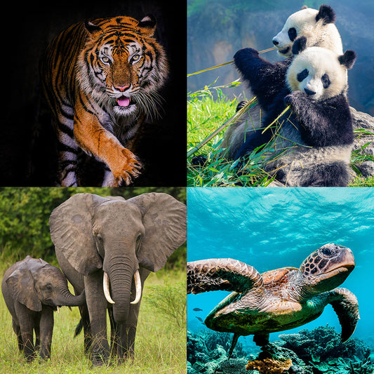 Project Peril: Act Now Before Critically Endangered Species Disappear