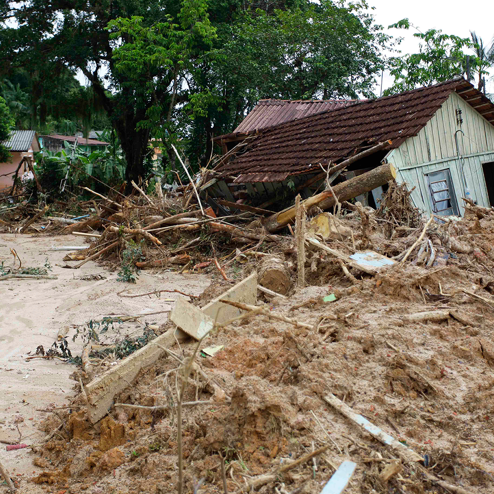 Help People and Pet Survivors of Devastating Floods in Nepal