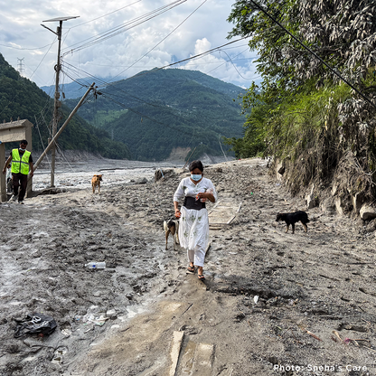 Help People and Pet Survivors of Devastating Floods in Nepal