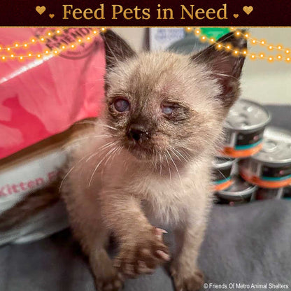 Holiday Food Drive: Feed Shelter Pets in Need