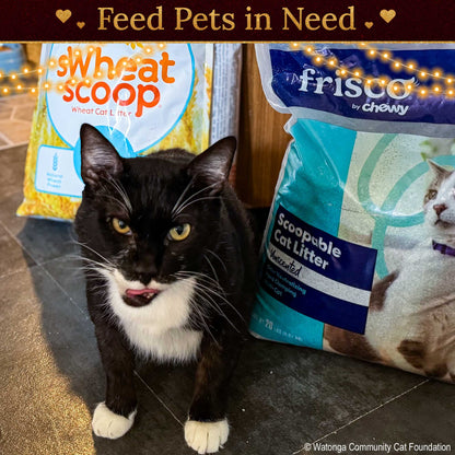 Holiday Food Drive: Feed Shelter Pets in Need