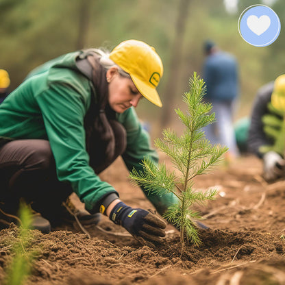 Give the Earth Some Love: Plant a Tree