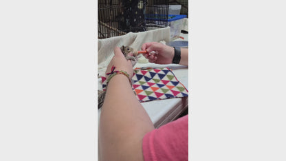 Send Life-Saving Care to Wildlife Animals