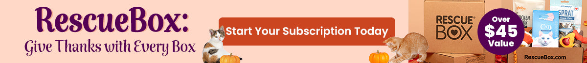 RescueBox subscription promo from The Animal Rescue Site and GreaterGood; proceeds help support shelter pets and more; features cat treats, toys, and food in branded boxes.