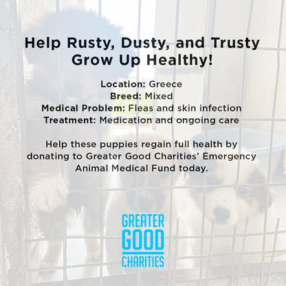 Help Rusty, Dusty, and Trusty Grow Up Healthy