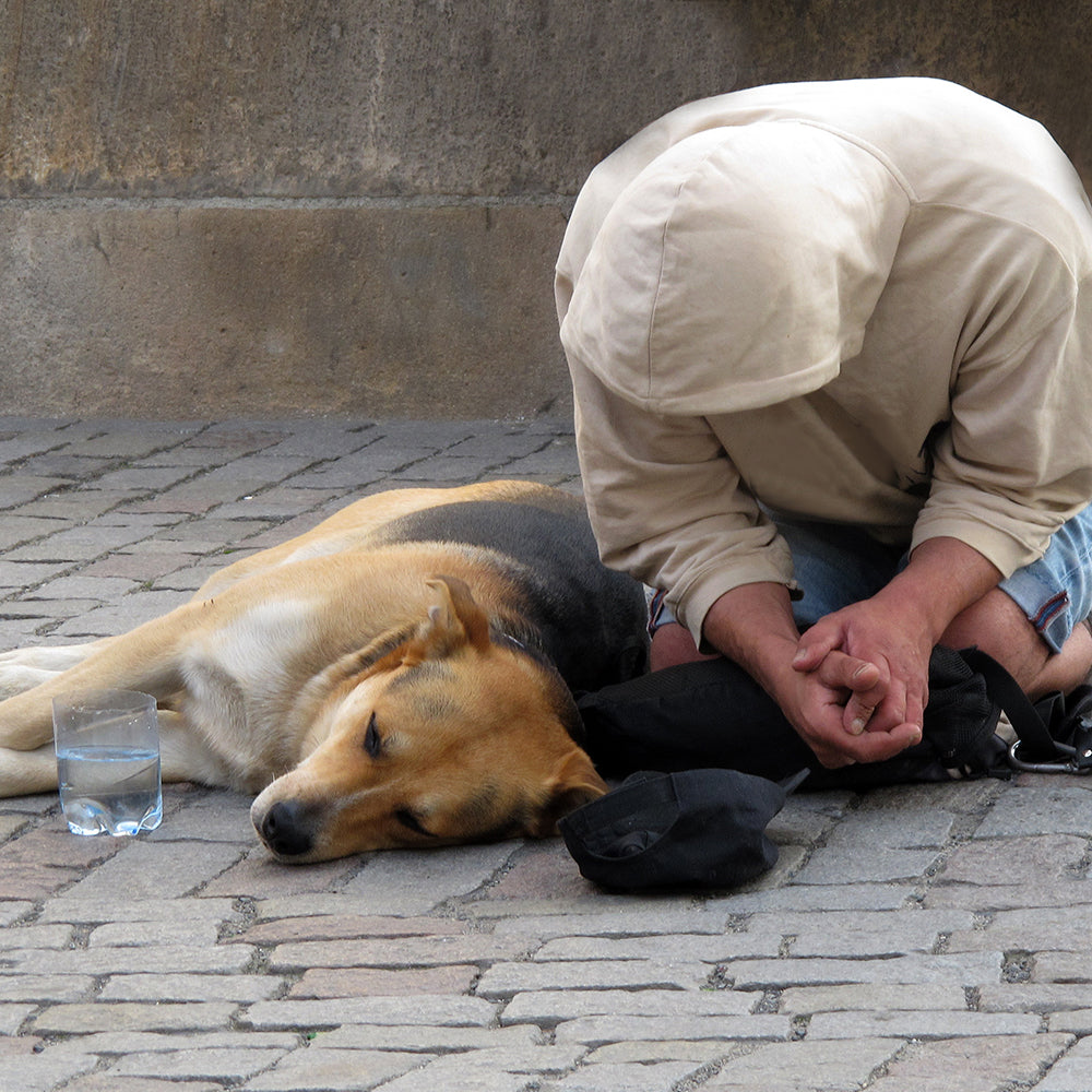 Send Relief Kits to Veterans & Pets Experiencing Homelessness