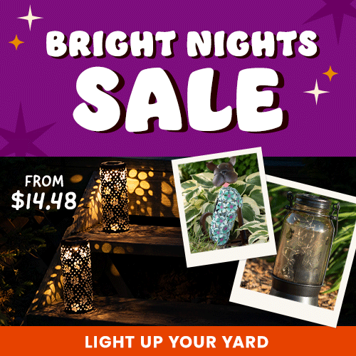 Shop the Bright Nights Sale to light up your yard with solar lanterns, stakes, and garden lights starting from $14.48. Every purchase helps support shelter pets and more through The Animal Rescue Site and GreaterGood.
