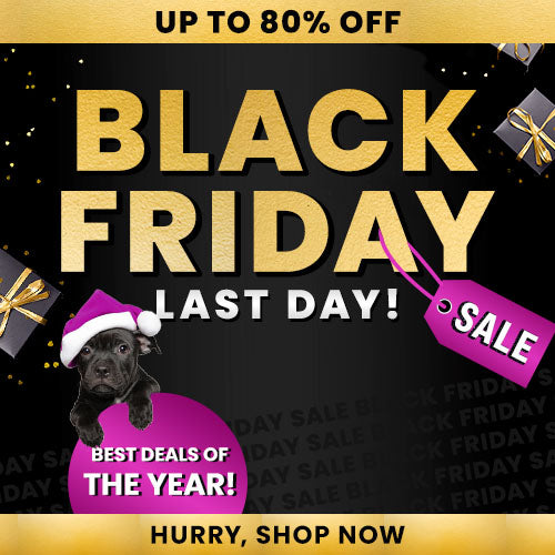 Last Day Black Friday sale from The Animal Rescue Site and GreaterGood featuring gift boxes and a dog in a Santa hat; proceeds help support shelter pets and more; gold-and-black holiday style.