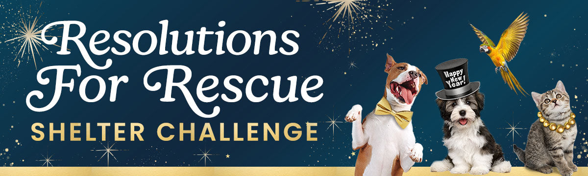 Resolutions for Rescue