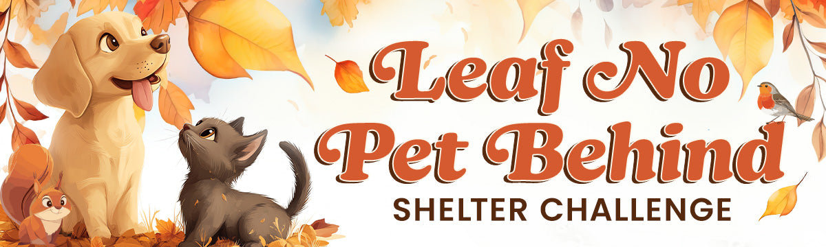 Leaf No Pet Behind