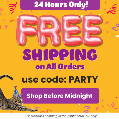 Free Shipping on All Orders (code PARTY): Tabby cat in a blue party hat. By The Animal Rescue Site and GreaterGood. Proceeds help support shelter pets and more.