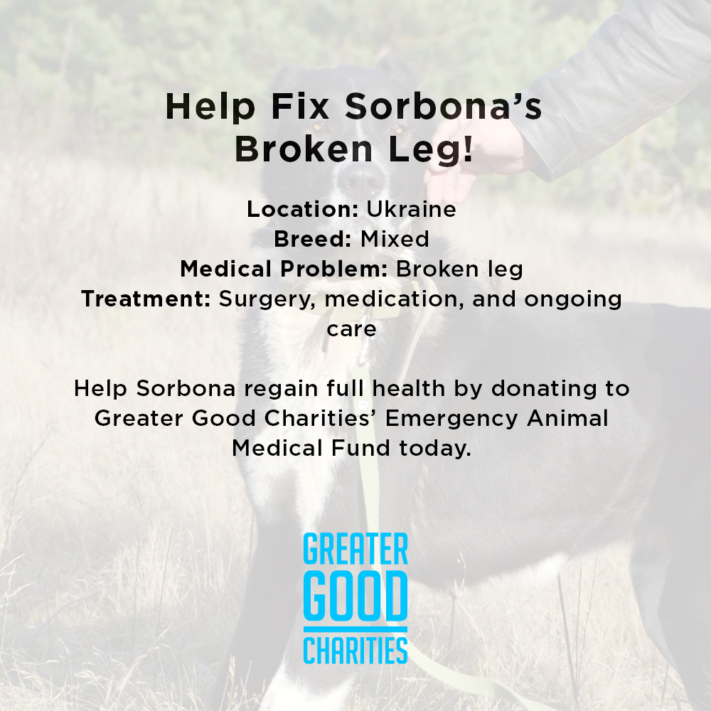 Funded: Help Fix Sorbona’s Broken Leg