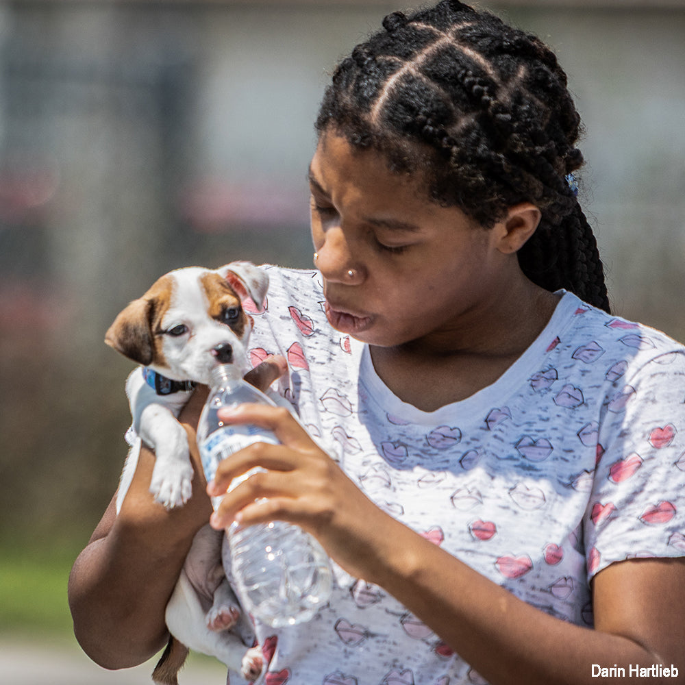 Support Families & Pets Hit Hard by Rising Costs