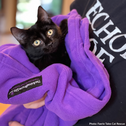 Give Shelter & Supplies to Stray Cats Living in Harsh Conditions