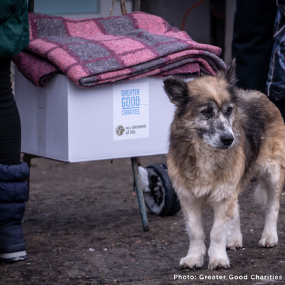 Crisis in Ukraine: Give Warmth to People and Pets this Winter
