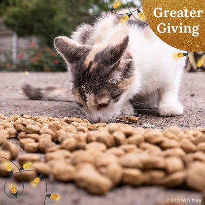 Crisis in Ukraine: Feed Starving and Abandoned Pets