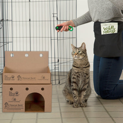 Training Packs To Help Cats & Kittens Get Adopted