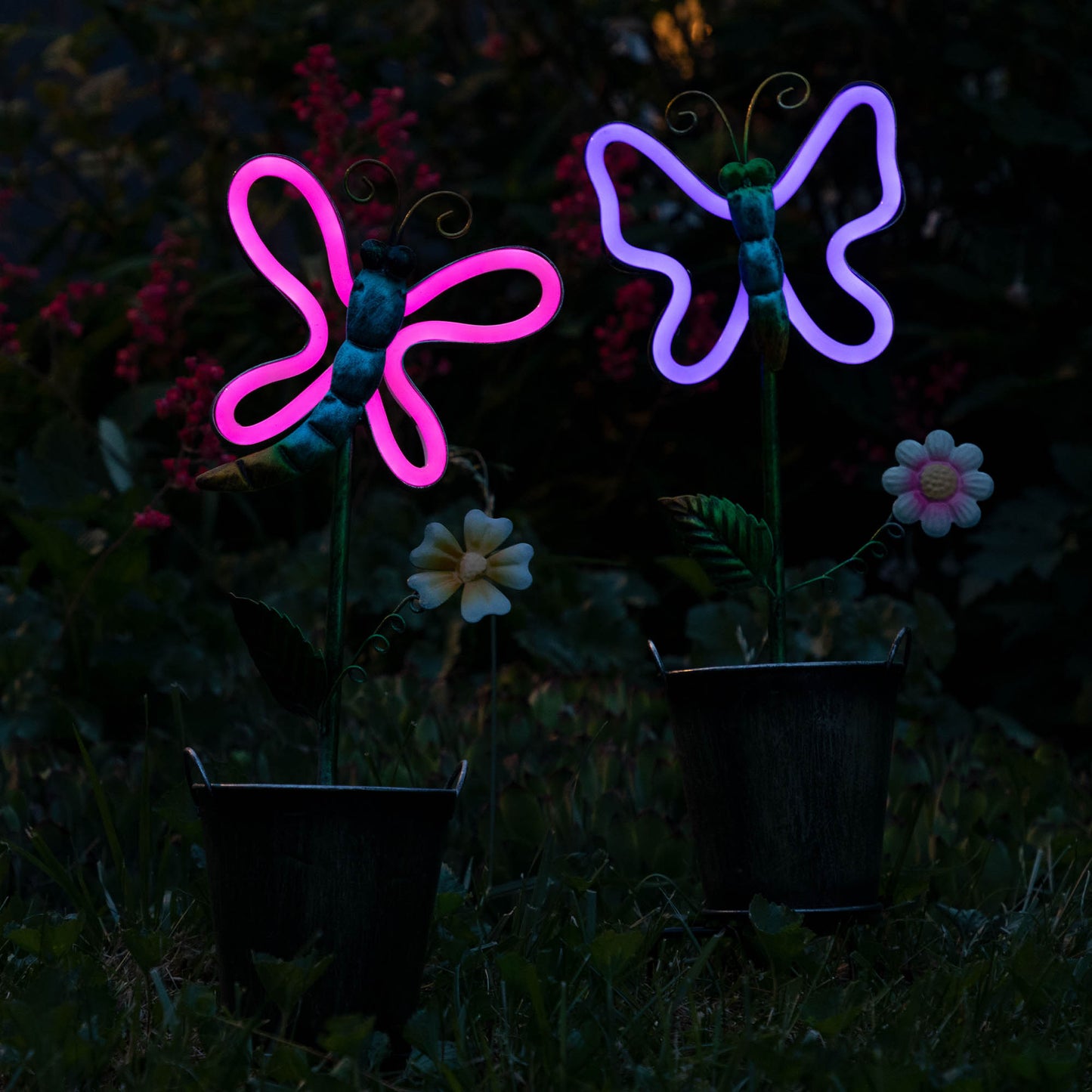 Neon Fluttering Friends Solar Light