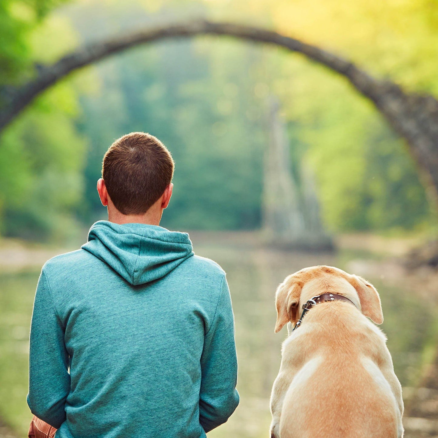 Benefit Buy - School Packs For Shelter Dogs To Become A Best Bud For A Veteran