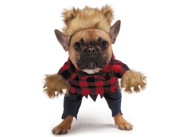 Werewolf Dog Costume