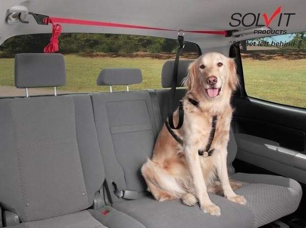 PupZIP‚Äö√ë¬¢ Vehicle Zipline by Solvit