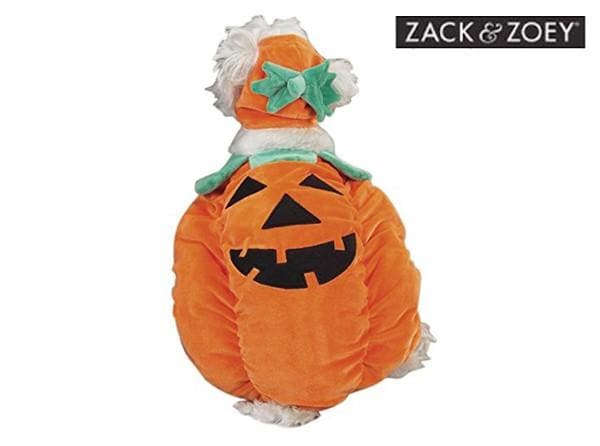 Pumpkin Costume by Zack & Zoey