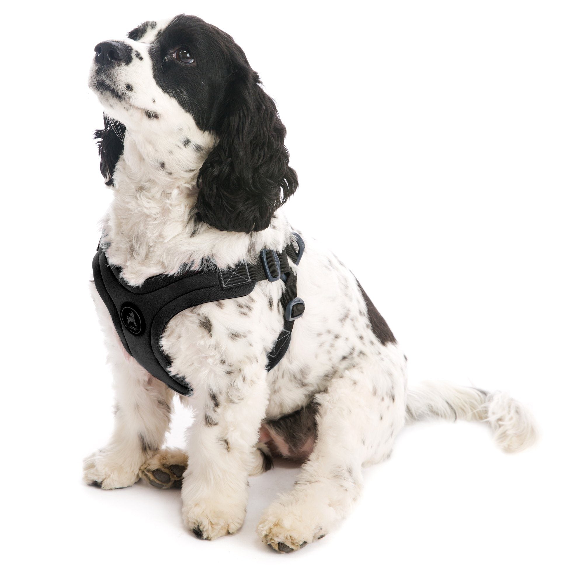 Gooby Escape Free Dog Sport Harness The Animal Rescue Site