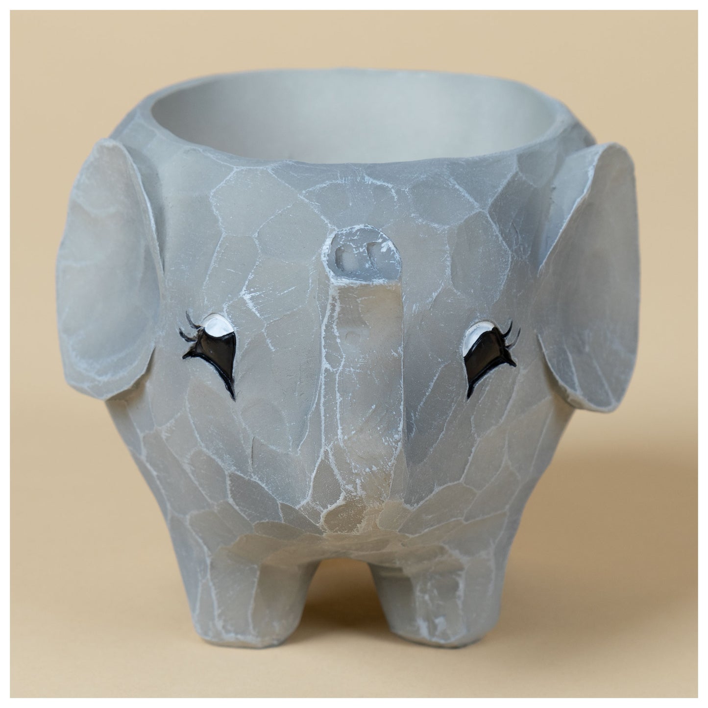 Wild Kingdom Planter