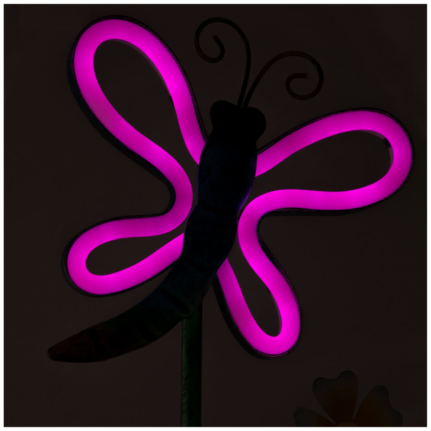 Neon Fluttering Friends Solar Light